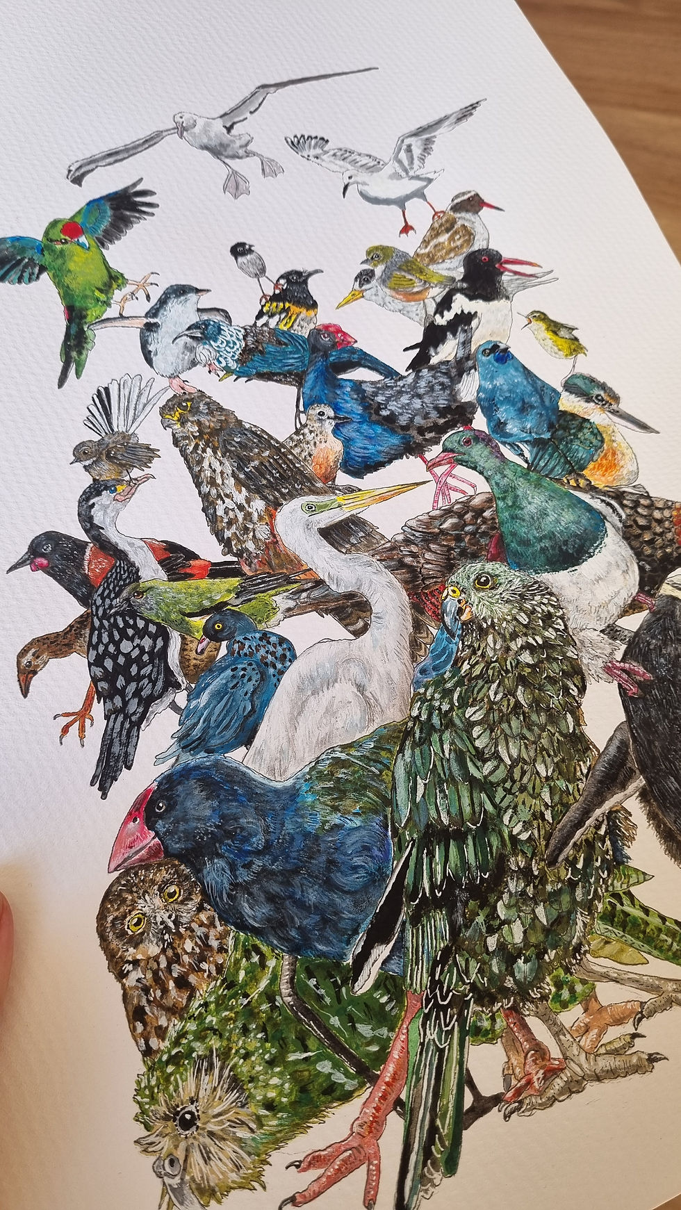 Thumbnail: NZ Bird Crew - ORIGINAL