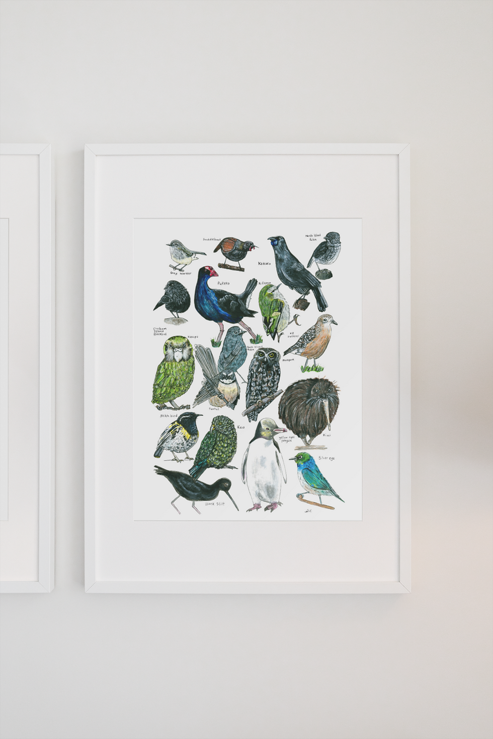 Thumbnail: 18 Native Birds
