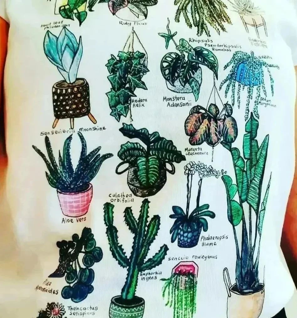 Thumbnail: 17 Indoor Plants
