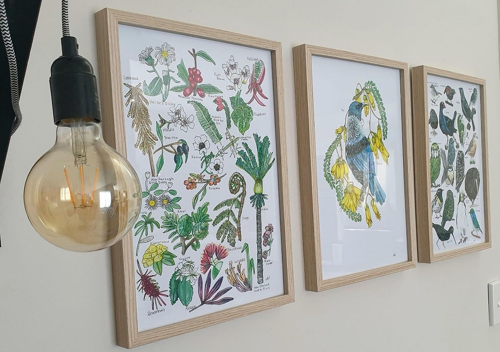 Thumbnail: NZ Native Flora