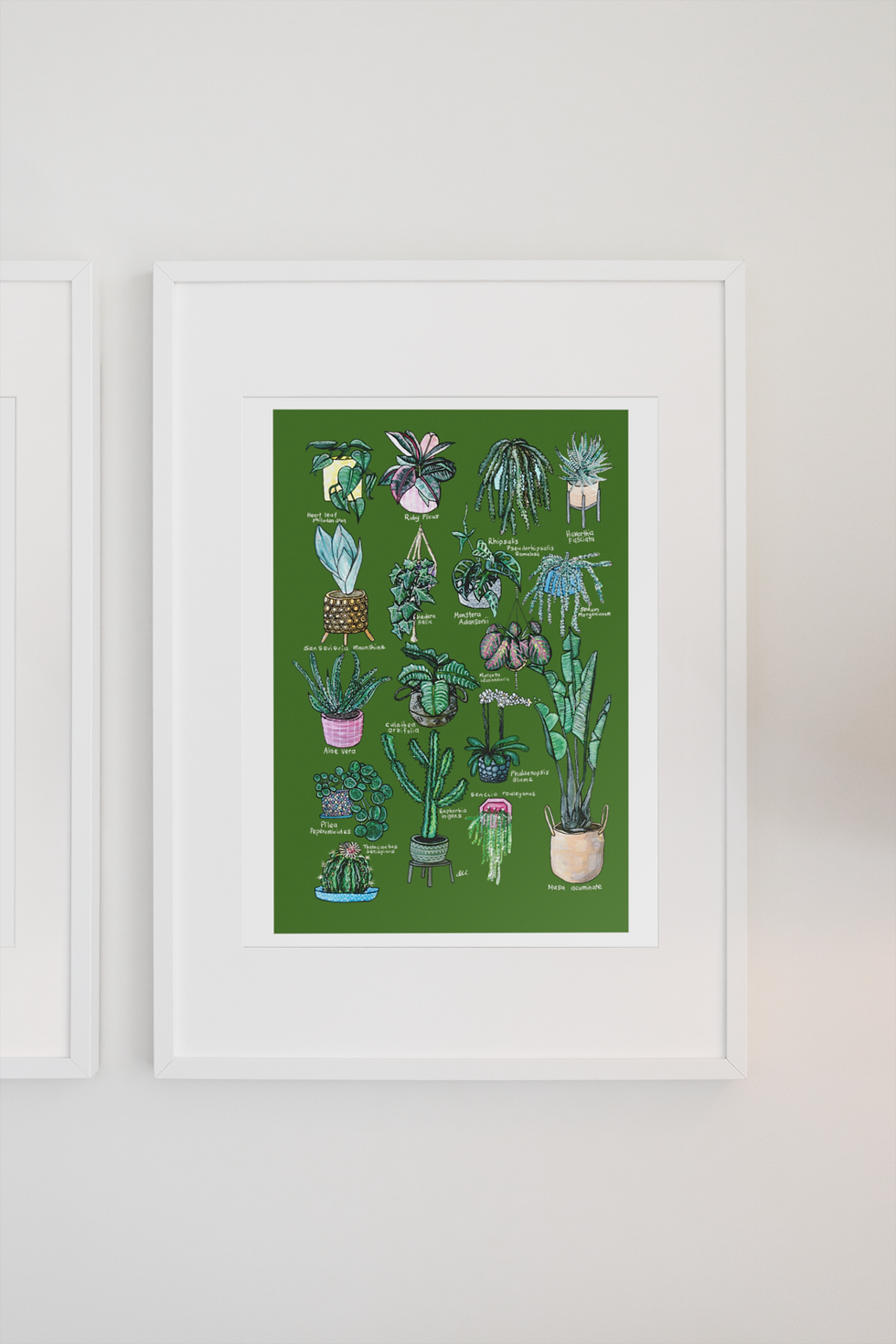 Thumbnail: 17 Indoor Plants