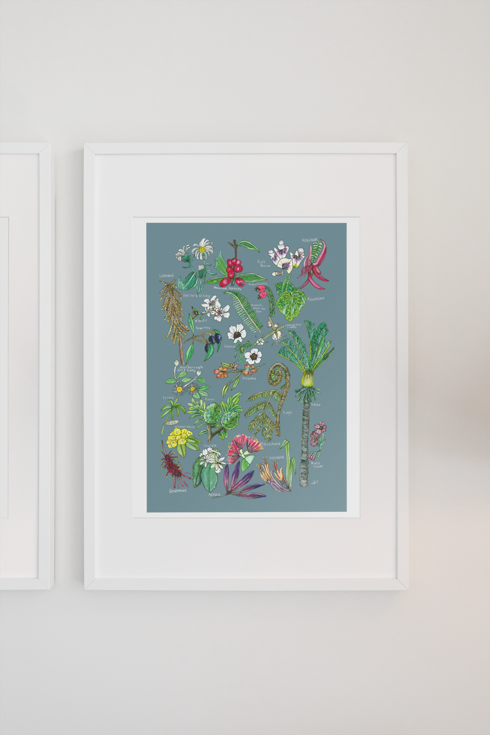 Thumbnail: NZ Native Flora
