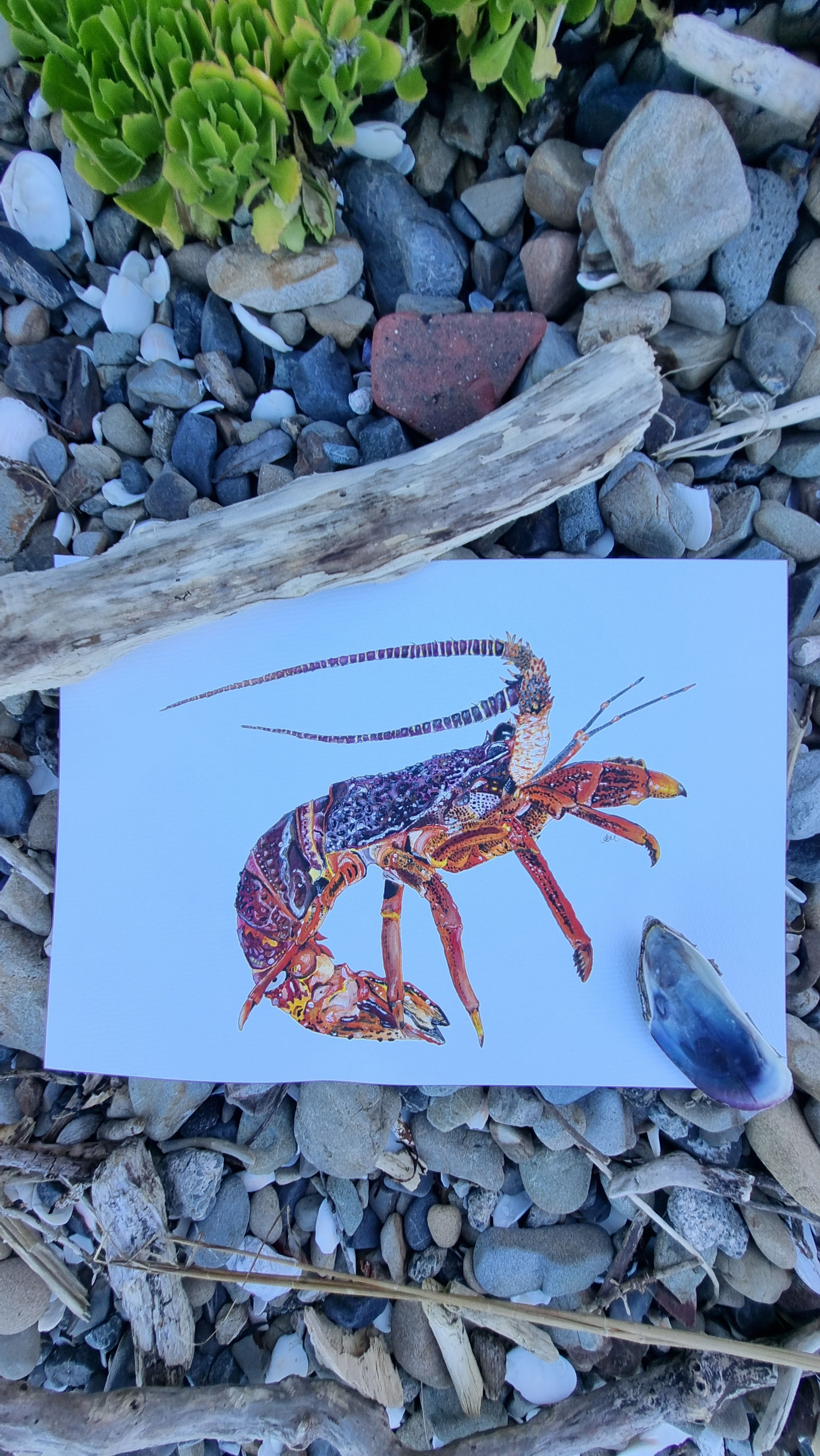 Cray- Original Artwork