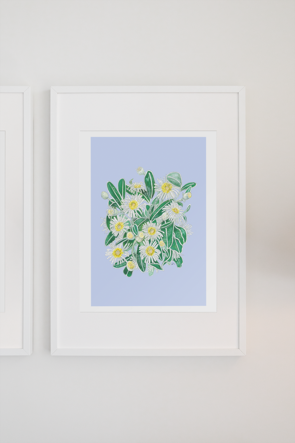 Thumbnail: Marlborough Rock Daisy