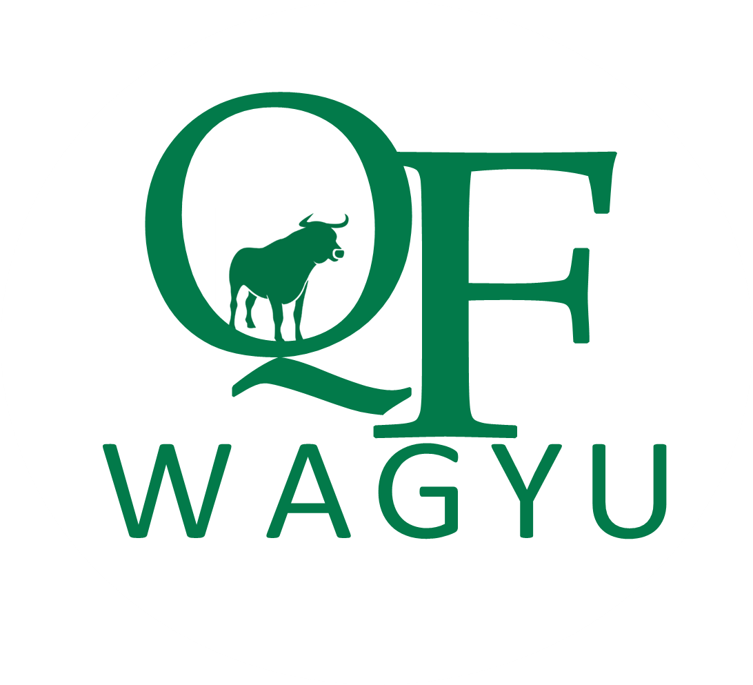 Wagyu Beef | Quillen Farms