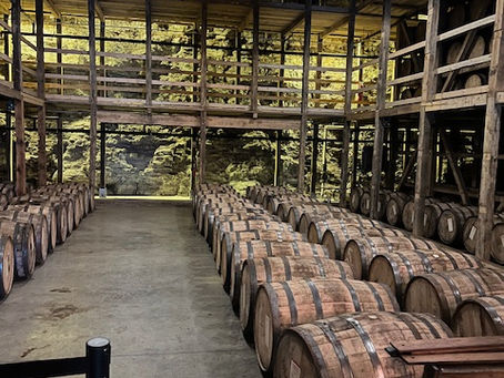 Empty Nest to Second Nest Design!