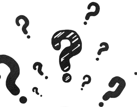 General Member Interviews