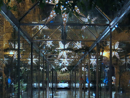 S'évader durant la pandémie