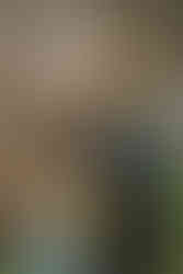 A groom turns to see his bride in her dress for the first time