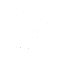 ROI_Preloader.gif