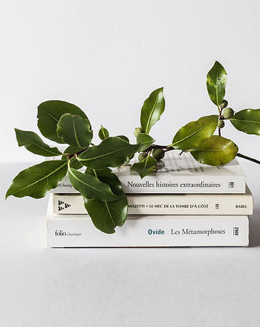 Imagen con libros y rama de árbol