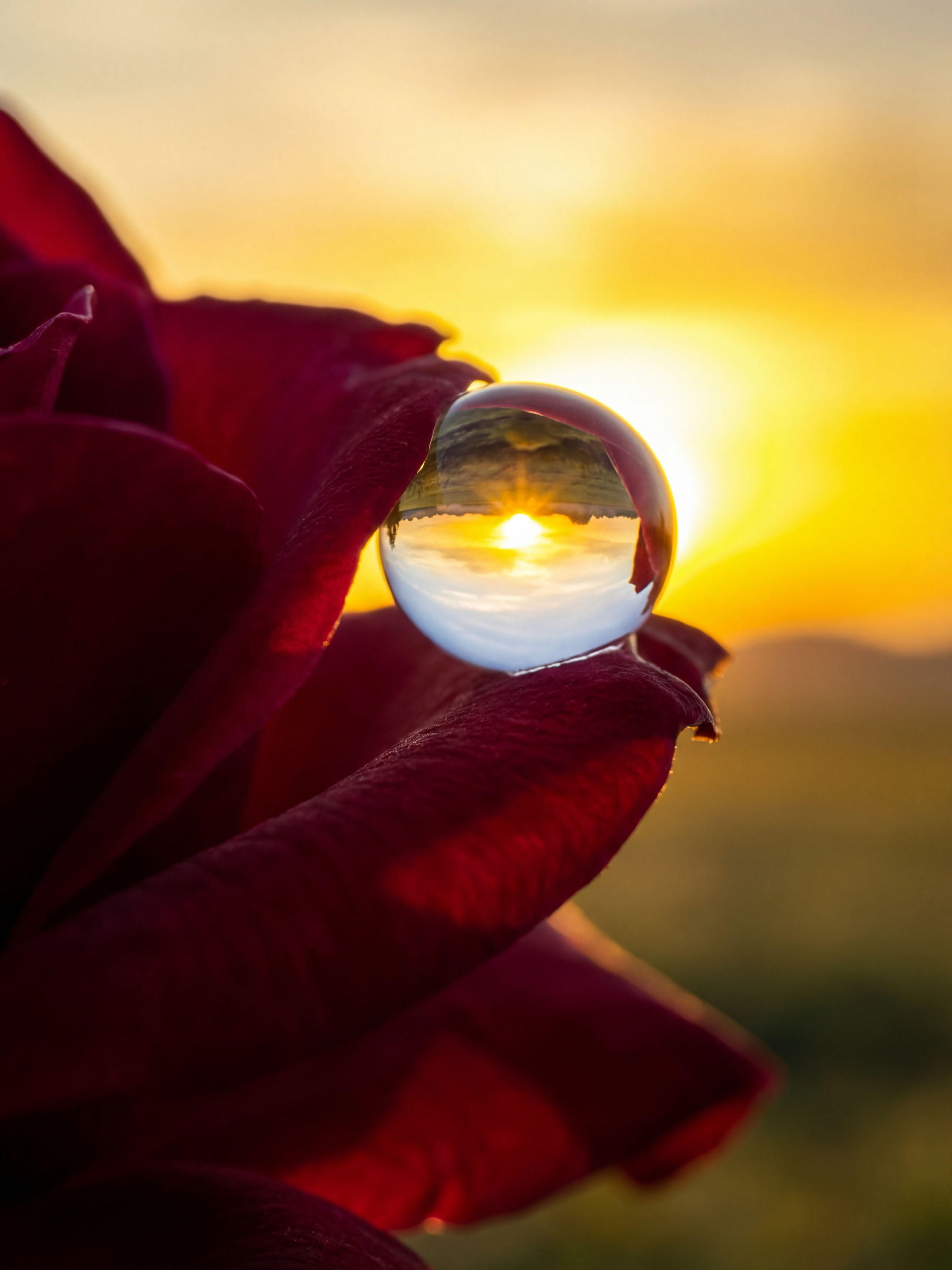 Golden Sunset Water Drop