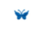 Borboleta REF 1635