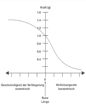 kraft-geschwindigkeitskurve.gif