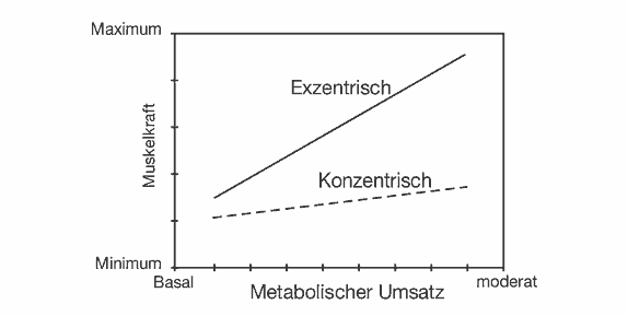 metabolischer_umsatz.gif