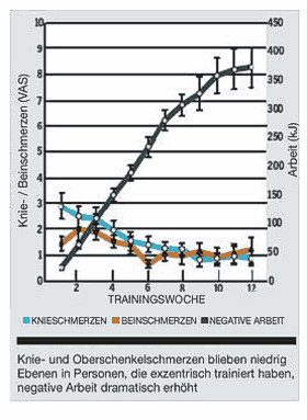 auswirkungen1.gif