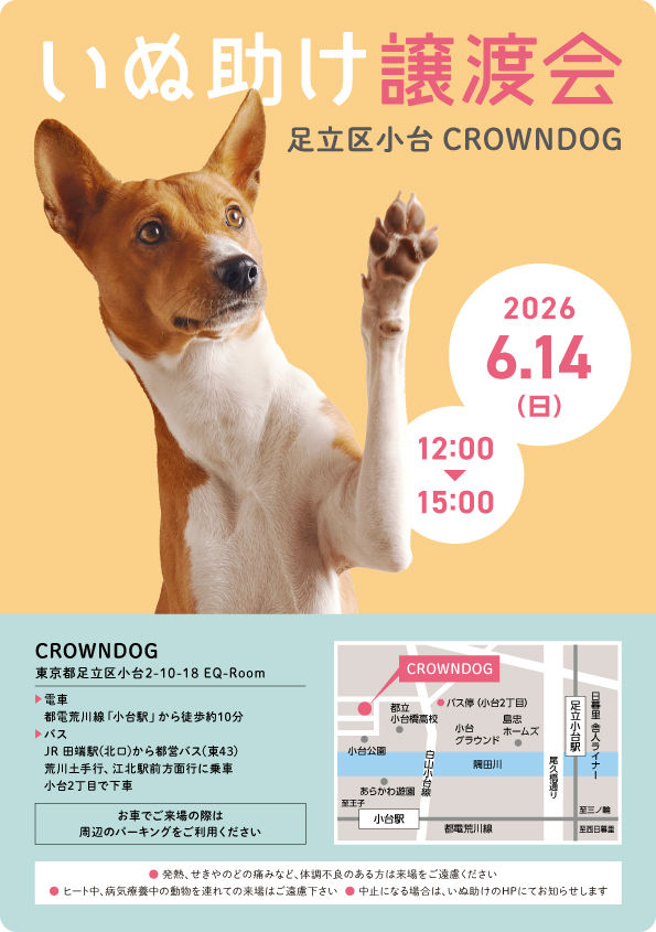 inu_HP_0614.jpg