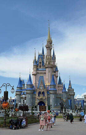 Vacation planning for Disney made easy.