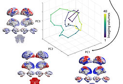 PathLength_AllFigures_v2_Fig1_edited.jpg
