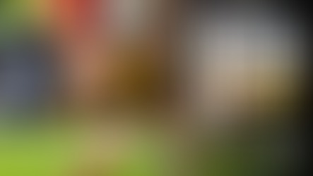 York Knights 38-14 Toulouse Olympique: Match Report