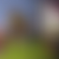 Huddersfield Giants 22-4 York Knights: Pre-Season Match Report