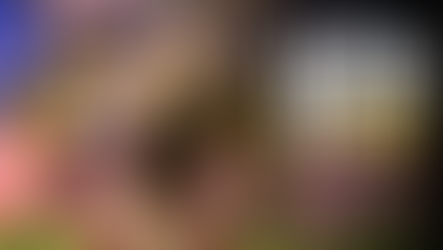 Wigan Warriors 23-22 York Knights: Match Report