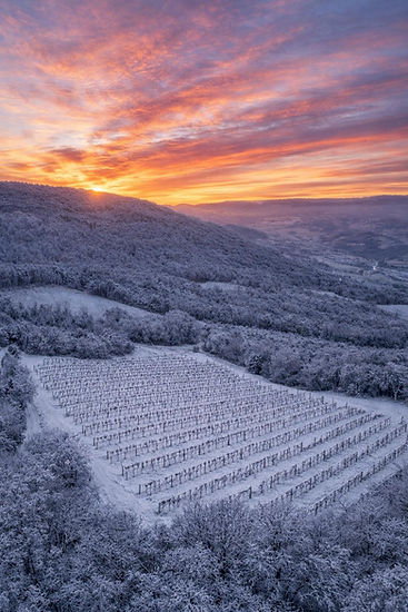 foto Magistra Neve.jpg