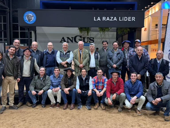 En ventas desde Palermo, Lote 21 colocó el 92% de la oferta