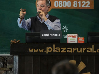Con mercado dinámico, Plaza Rural concretó dos excelentes jornadas de venta