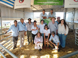 Cabaña Santa Catalina logró destacados valores en la zafra de carneros junto a Escritorio Dutra