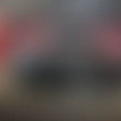 Gran demanda por toda la oferta en Vientres Pro; ternera se vendió en US$ 4.800