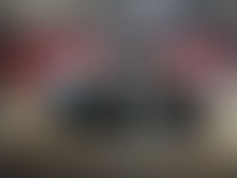 Gran demanda por toda la oferta en Vientres Pro; ternera se vendió en US$ 4.800