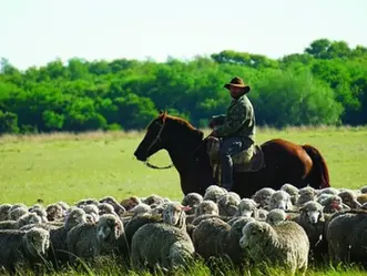 Cesión de certificados de crédito para la cancelación de deudas