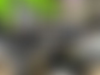 INAC realizará degustación al paso en SIAL París