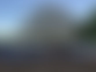 San Alberto vendió sus toros a US$ 4.650