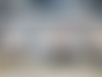 Máximo de US$ 2.300 para remate de La Carolina, con Silveira.