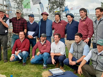 Genética Efectiva 2026 sale a pista este miércoles en Young con 70 toros PI