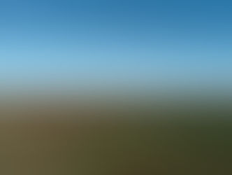 Impuesto a Primaria Rural