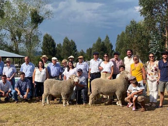 Muy buenas ventas del Corriedale de Doña Elisa y San Gerardo