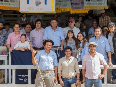 San Quintín realiza este sábado su cuarto remate anual con 50 toros Angus PI