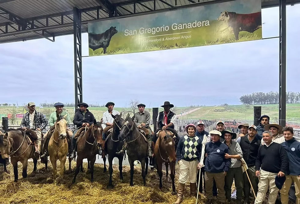 Zambrano remata este jueves la genética de San Gregorio Ganadera