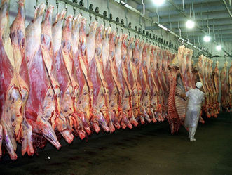 Faena semanal volvió a acercarse a las 50 mil cabezas