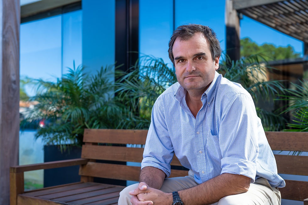 Mercado ganadero apunta a la estabilidad y la tendencia se podría mantener hasta fines de noviembre