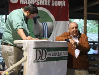 Escritorio Dutra vende hoy Toros en San José