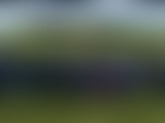 Muy buen remate de Berachí, que colocó sus toros a US$ 3.040