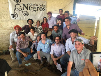 Zambrano vende esta tarde los toros de Rincón de los Negros