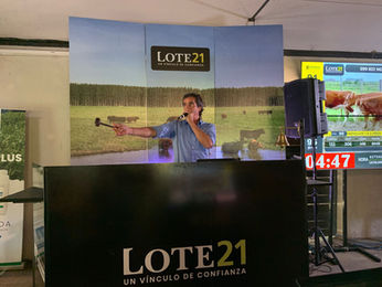 Lote 21 colocó casi todo en un mercado demandado