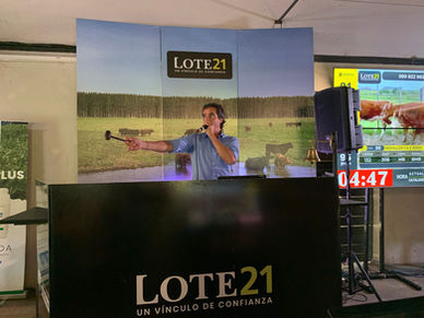 Remate de Lote 21 con ventas totales en el inicio del año
