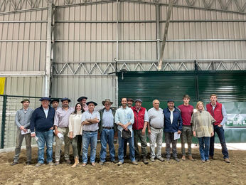 Angus del Oeste con US$ 3.308 de promedio