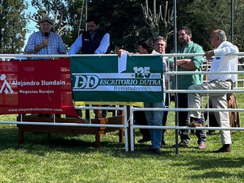Mañana se venden los Hereford de Iguarán y los Angus de Pérez Frontini
